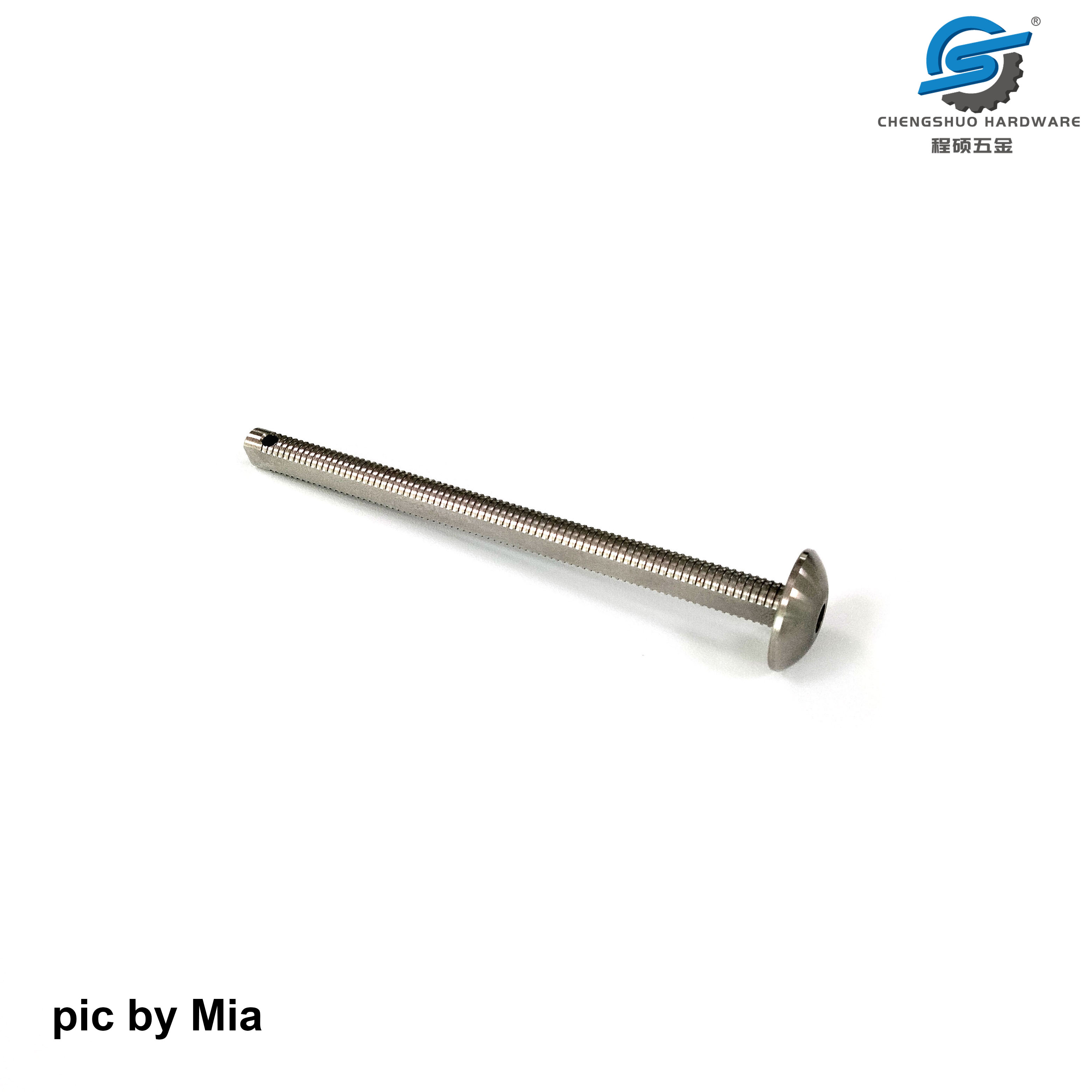 Customized Round Hole Round Head Screw by Mia