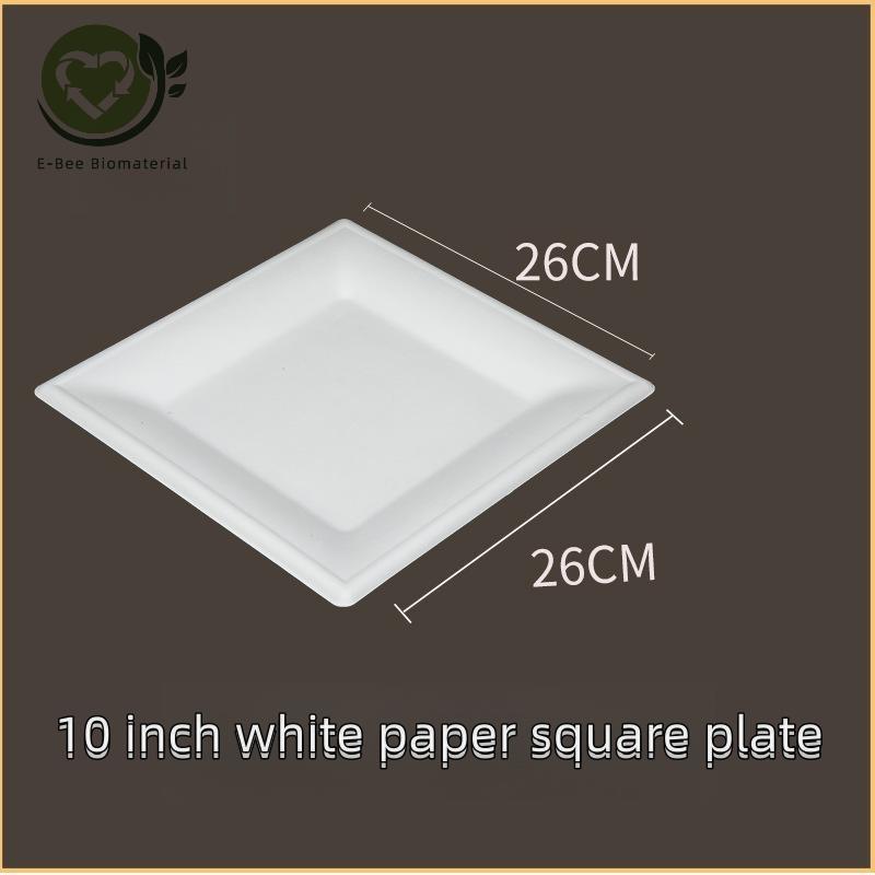 10 Inch White Square Biodegradable Plates for BBQ & Parties