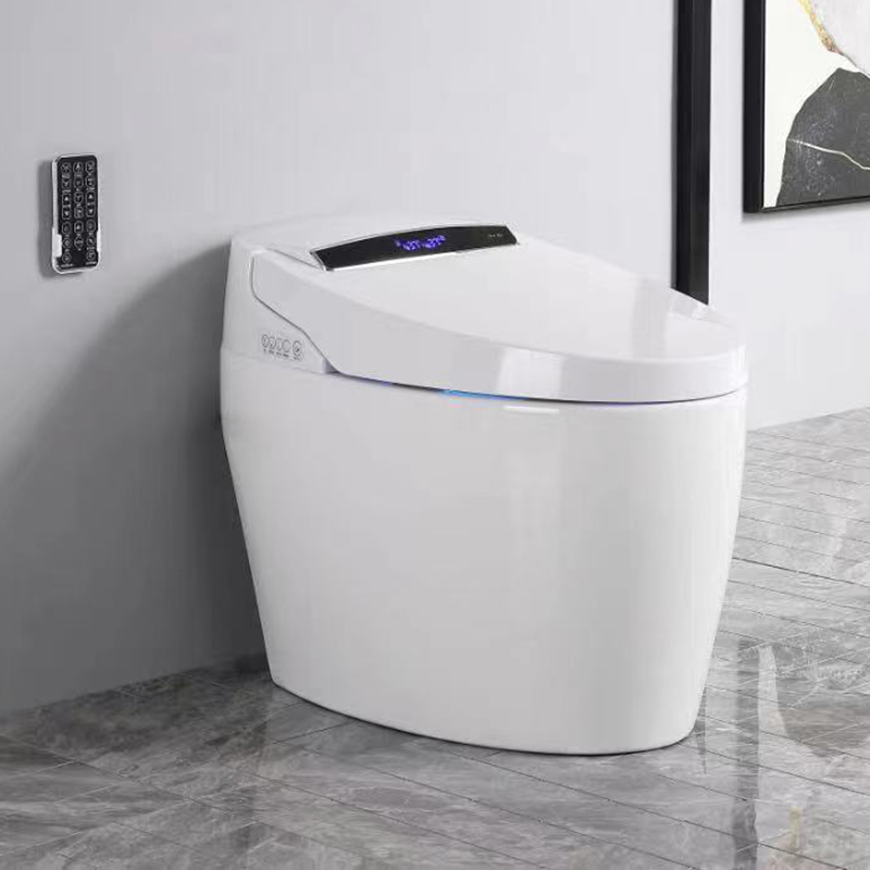 Smart <a href='/ceramic-toilet/'>Ceramic Toilet</a> for High-end Washrooms