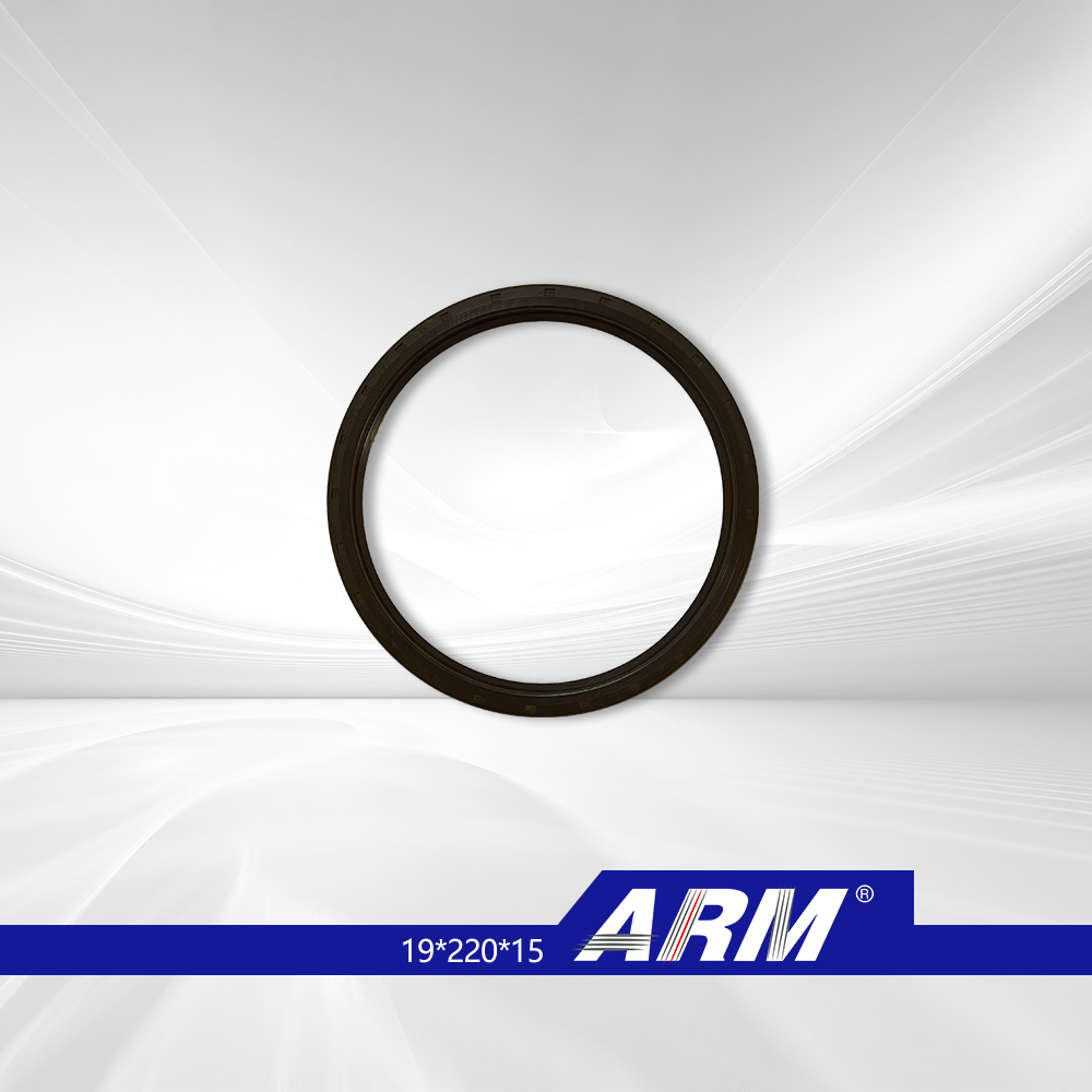 Original,Spare parts,Heavy duty,arm truck oil seal 19x<a href='/22/'>22</a>0x15