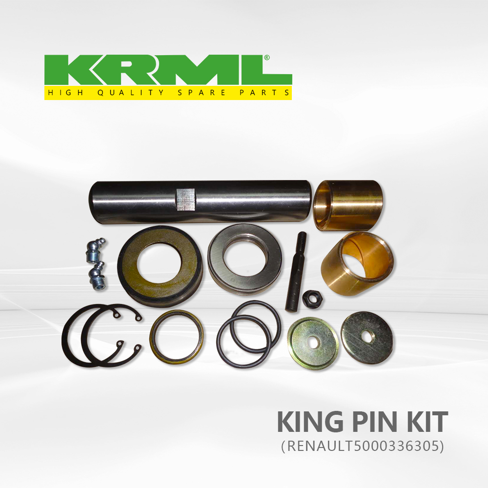 Spare parts,High quality,Best price king pin kit for RENAULT 305 Ref. Original: <a href='/5000336305/'>5000336305</a>