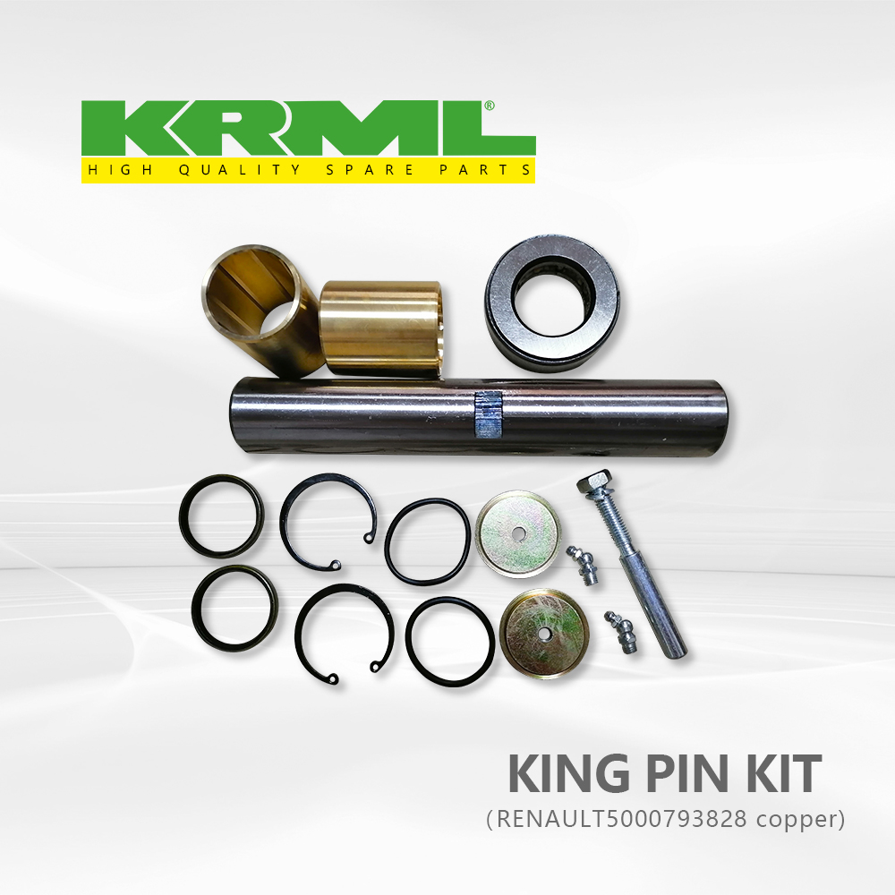 Heavy duty, Truck king pin kit for RENAULT 828 Ref. Original: 5000793828