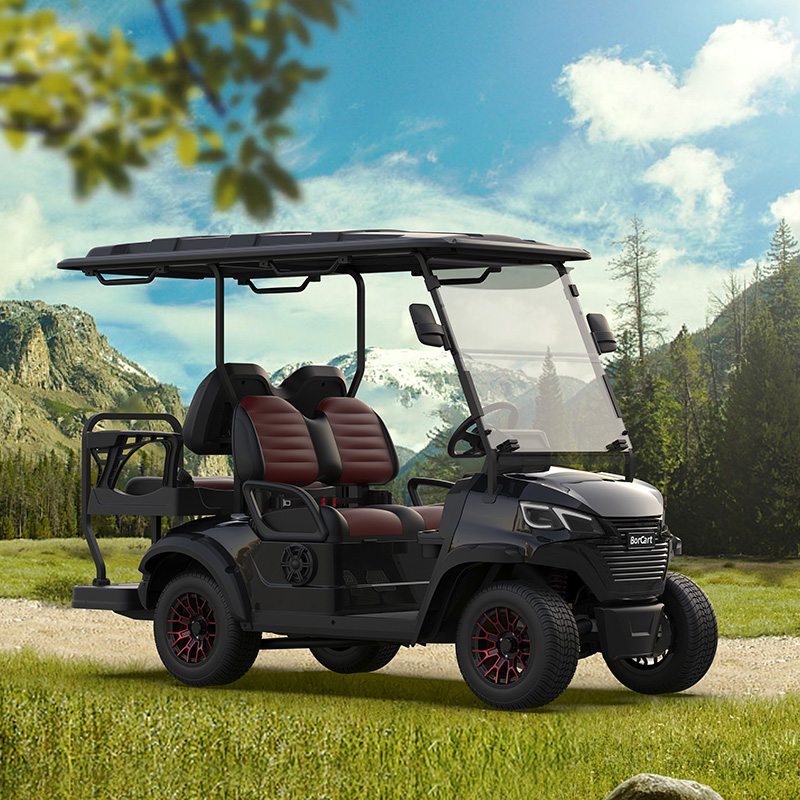 Borcart Customize 48V/72V 5Kw <a href='/4-passenger-golf-cart/'>4 Passenger Golf Cart</a>s For Sale