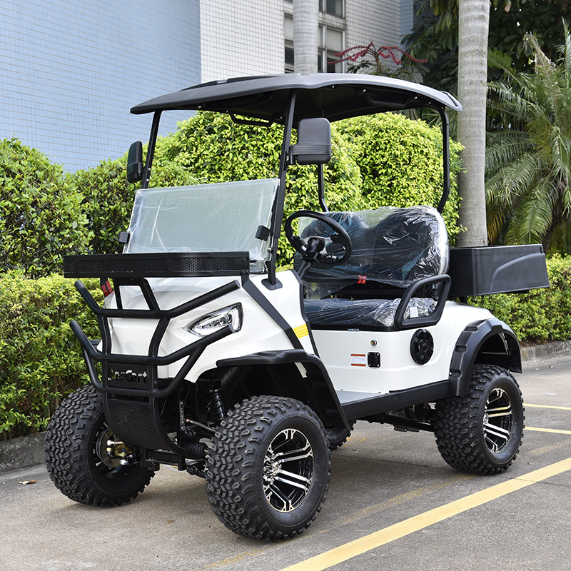 Factory utility golf cart 2 seats electric lifted golf car cargo golf cart