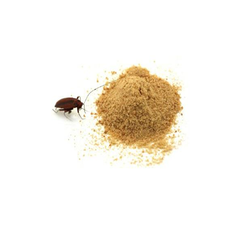 Cockroach killing bait