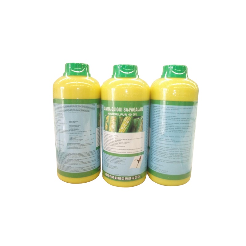 Chinese Wholesale herbicide Nicosulfuron 97%TC40g l SC40 OD50%WDG