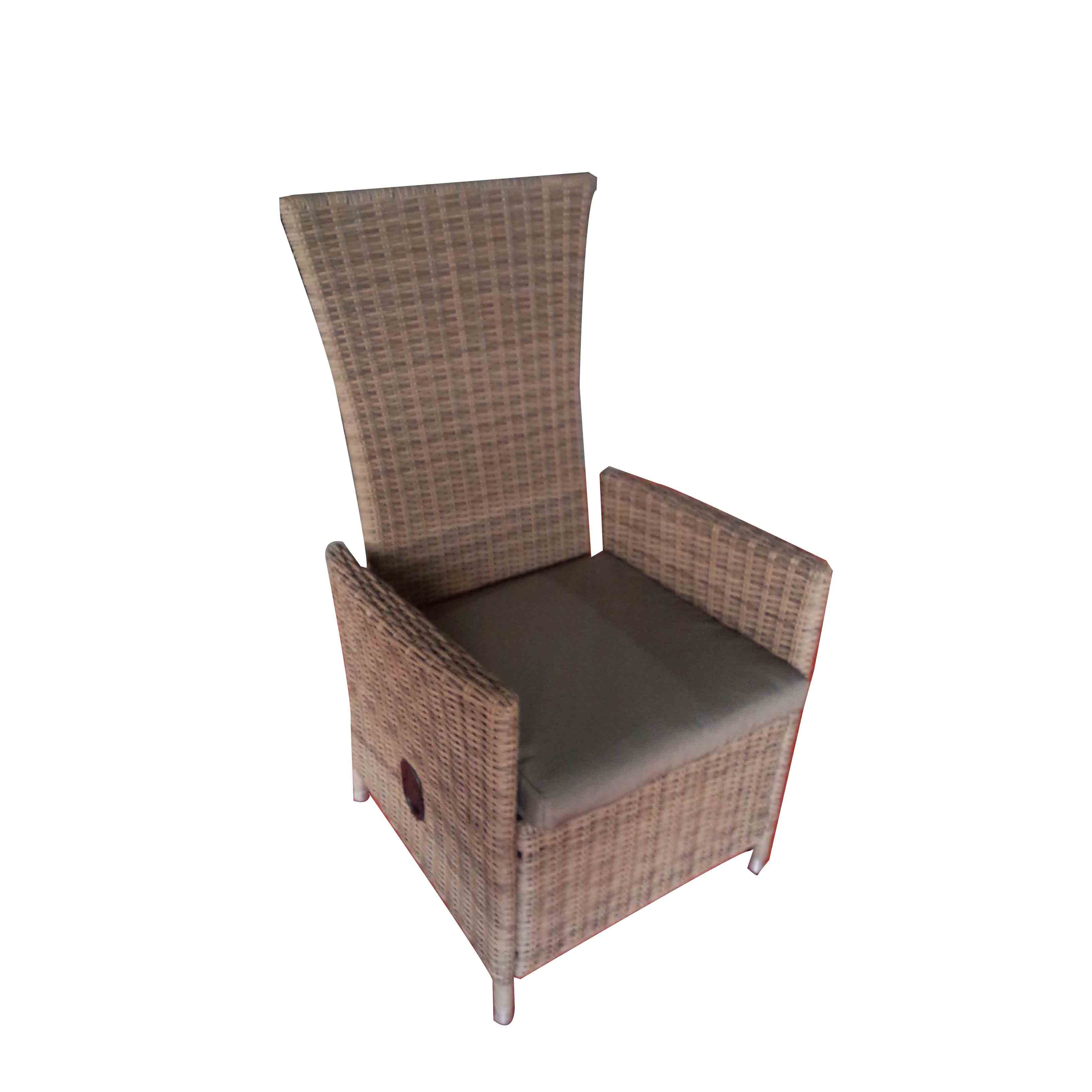 JJ3063W Steel rattan gas spring <a href='/chair/'>chair</a>