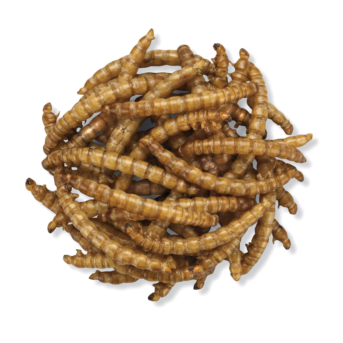 Dpat Queen Natural <a href='/dried-mealworm/'>Dried Mealworm</a>s 283g