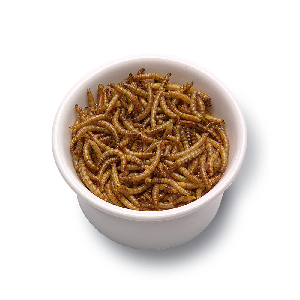 Dpat Queen Natural <a href='/dried-mealworm/'>Dried Mealworm</a>s 850g 