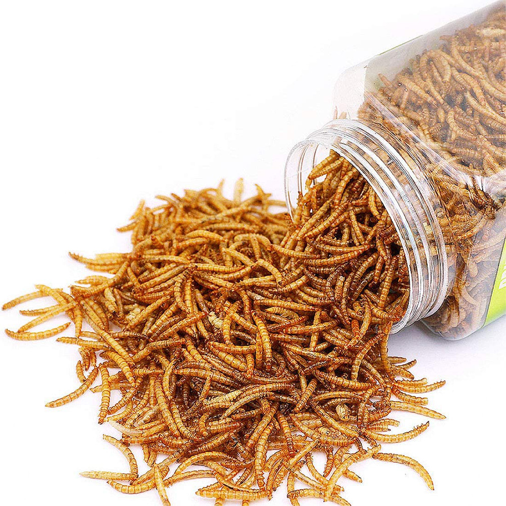 Quick drying yellow mealworms provide fast and simple protein sources for animals