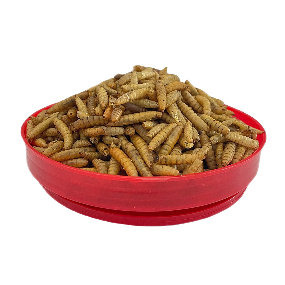 Dried <a href='/black-soldier/'>Black Soldier</a> Fly Larvae