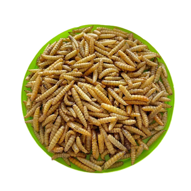 Dried <a href='/black-soldier/'>Black Soldier</a> Fly Larvae (BSFL)