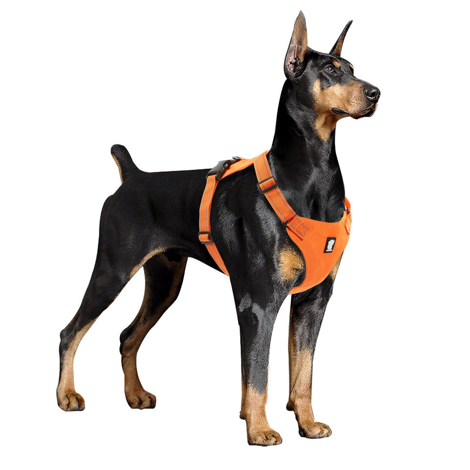 Outdoor Adjus<a href='/table/'>table</a> Soft Reflective <a href='/pet-harness-vest/'>Pet Harness Vest</a>