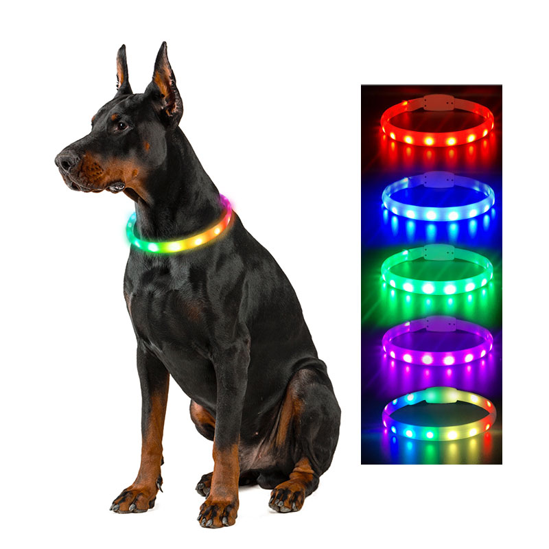 Usb Rechargeable LED Lights Dog Collars