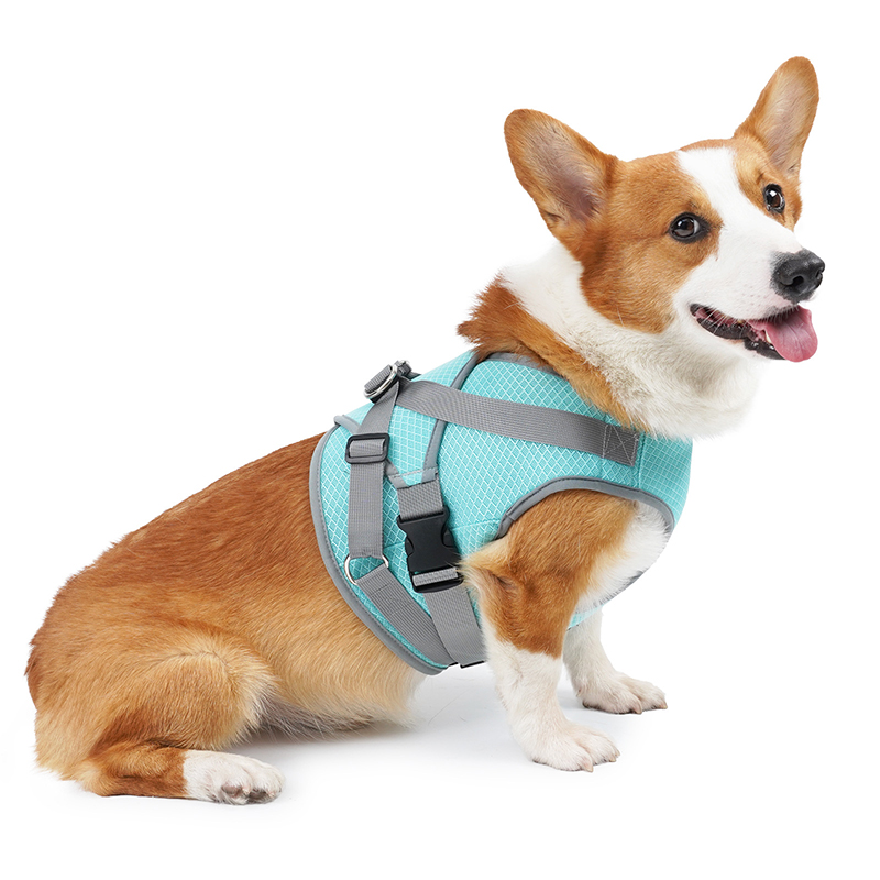 Mesh Breathable Prevent Heatstroke Pet Cooling Harness