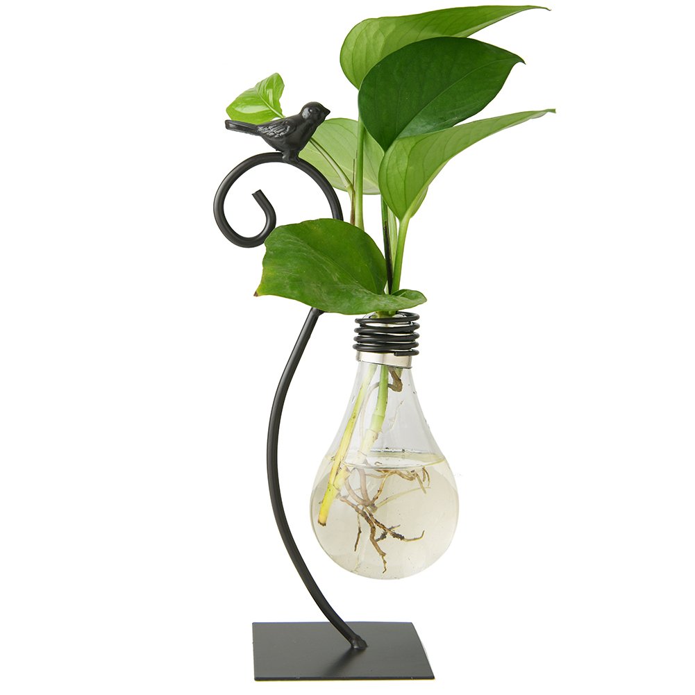 Desktop Glass Planter Hydroponics Vase Bulb Vase Home Decor