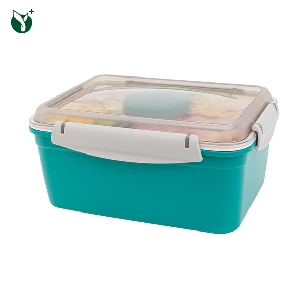 Sealed Salad Lunch <a href='/bento-box/'>Bento Box</a>