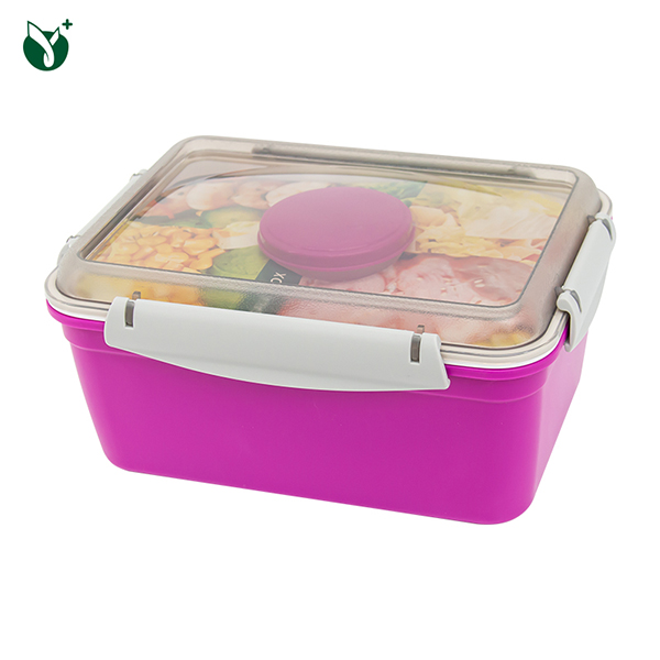 Sealed Fresh Salad Lunch <a href='/bento-box/'>Bento Box</a>