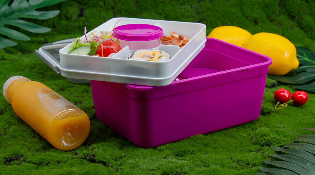 Traditional Sealed Salad Lunch Bento Box