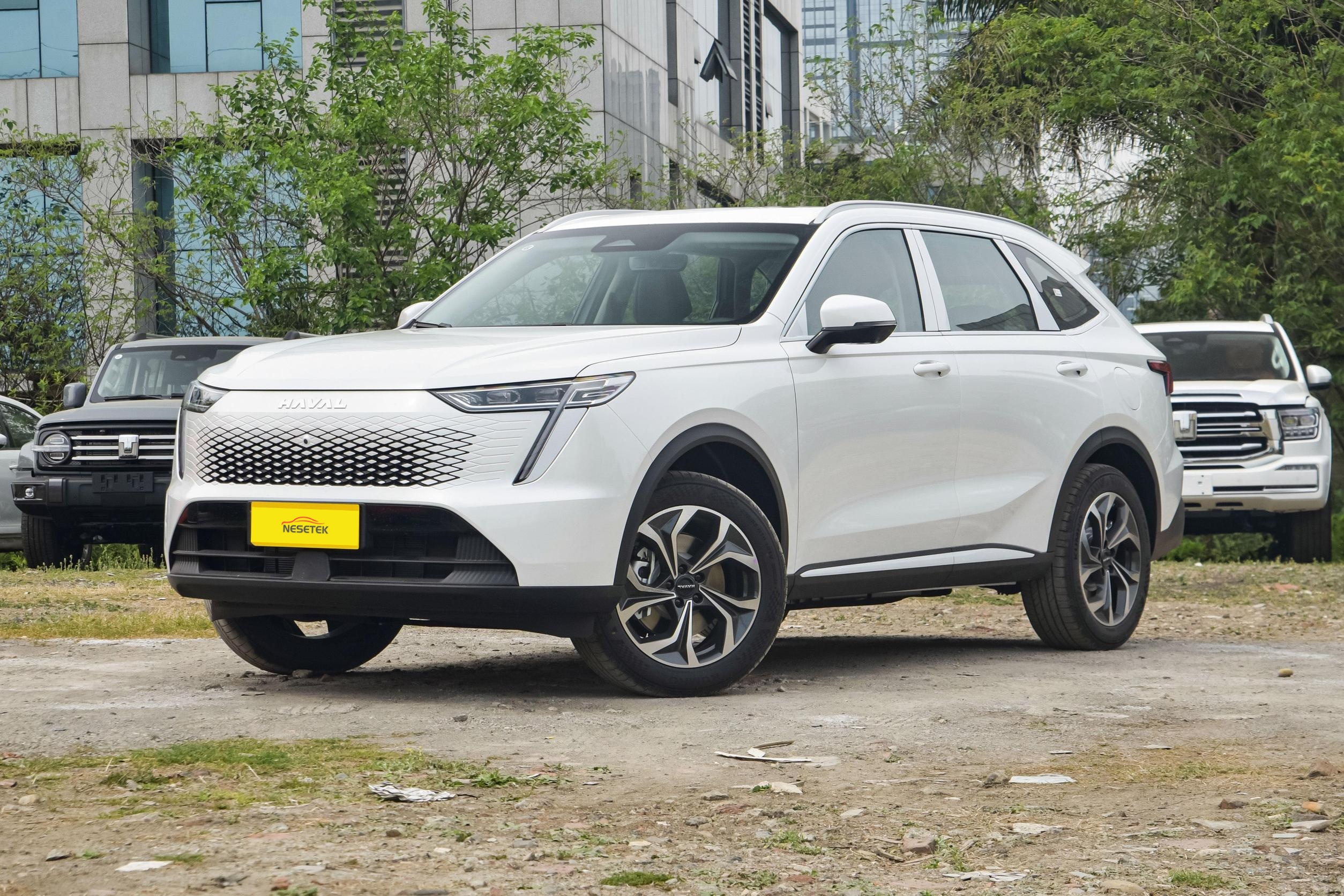 HAVAL XIAOLONG MAX (4)