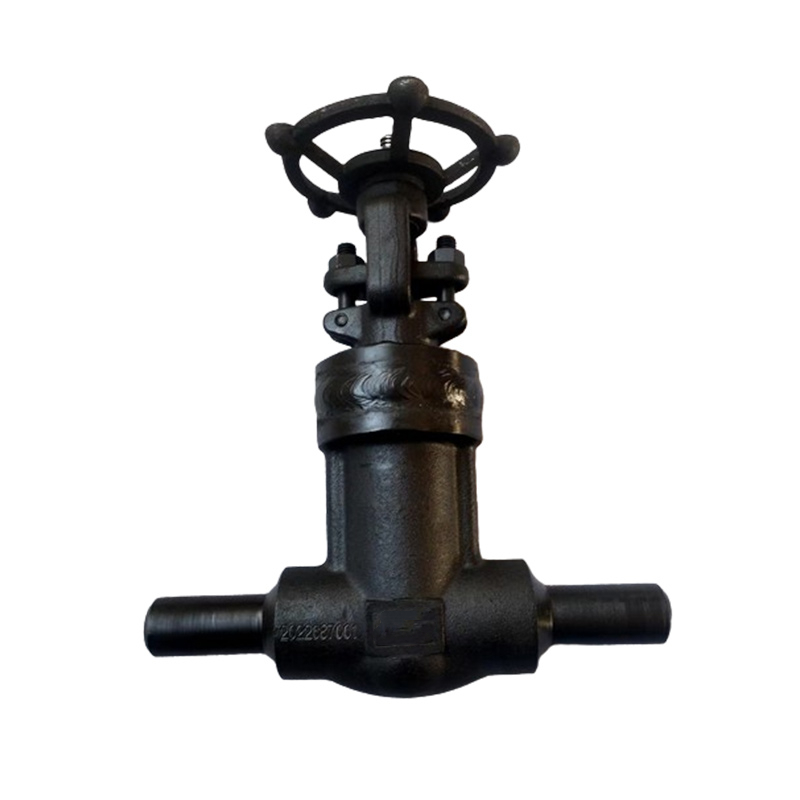 <a href='/forged-steel-globe-valve/'>Forged Steel <a href='/globe-valve/'>Globe Valve</a></a> Bolted Bonnet