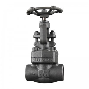 <a href='/api-602-globe-valve/'>API 602 Globe Valve</a>