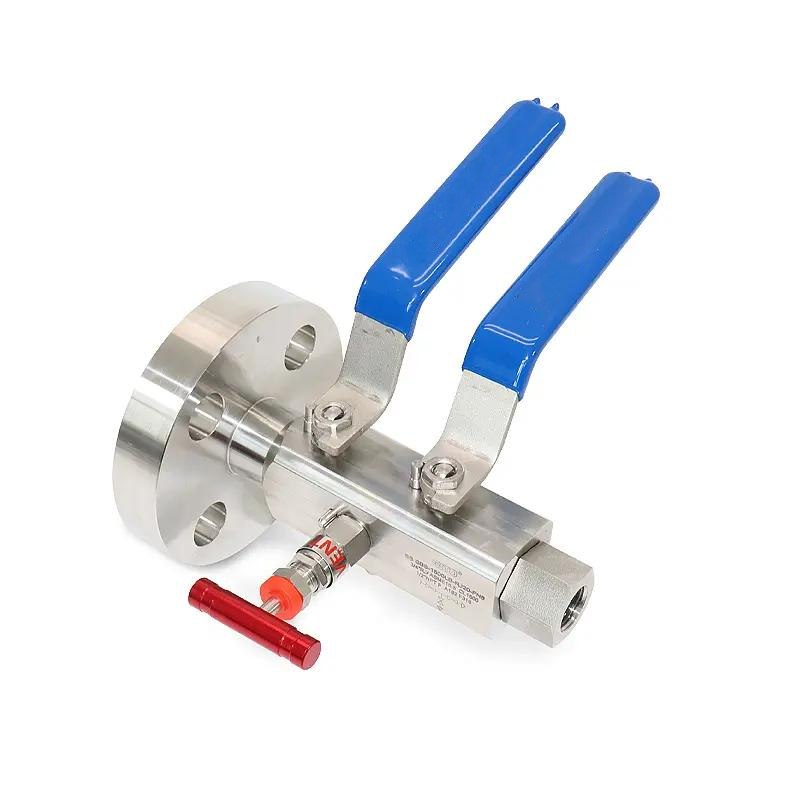 Double Block and Bleed <a href='/ball-valve/'>Ball Valve</a>s