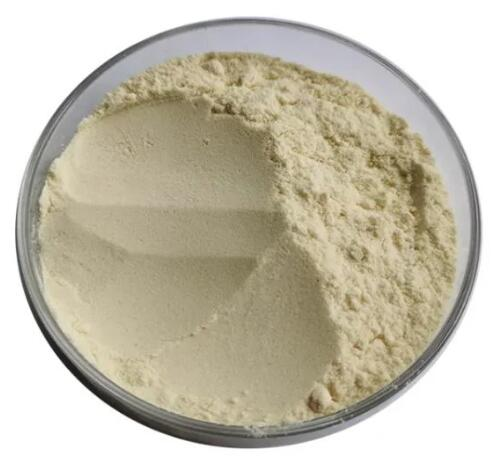 Hydrolyzed Vegetable Protein 90% CAS:100209-45-8