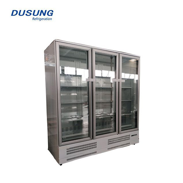 Supermarket Upright Glass door <a href='/freezer/'>Freezer</a>/Fridge Plug-in/Remote 