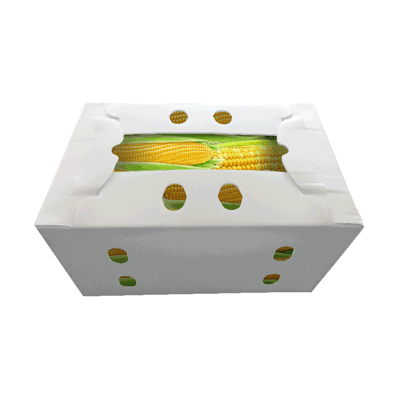 <a href='/corrugated-plastic/'>Corrugated Plastic</a> Boxes for Fruits and Vegetables packing