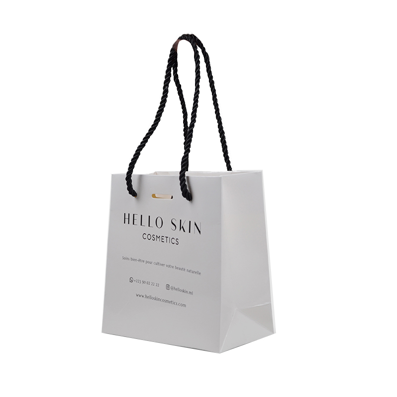 Luxury Custom Logo Elegant Small <a href='/gift-packaging/'>Gift <a href='/packaging/'>Packaging</a></a> <a href='/art-paper/'>Art Paper</a> Bag With Rope