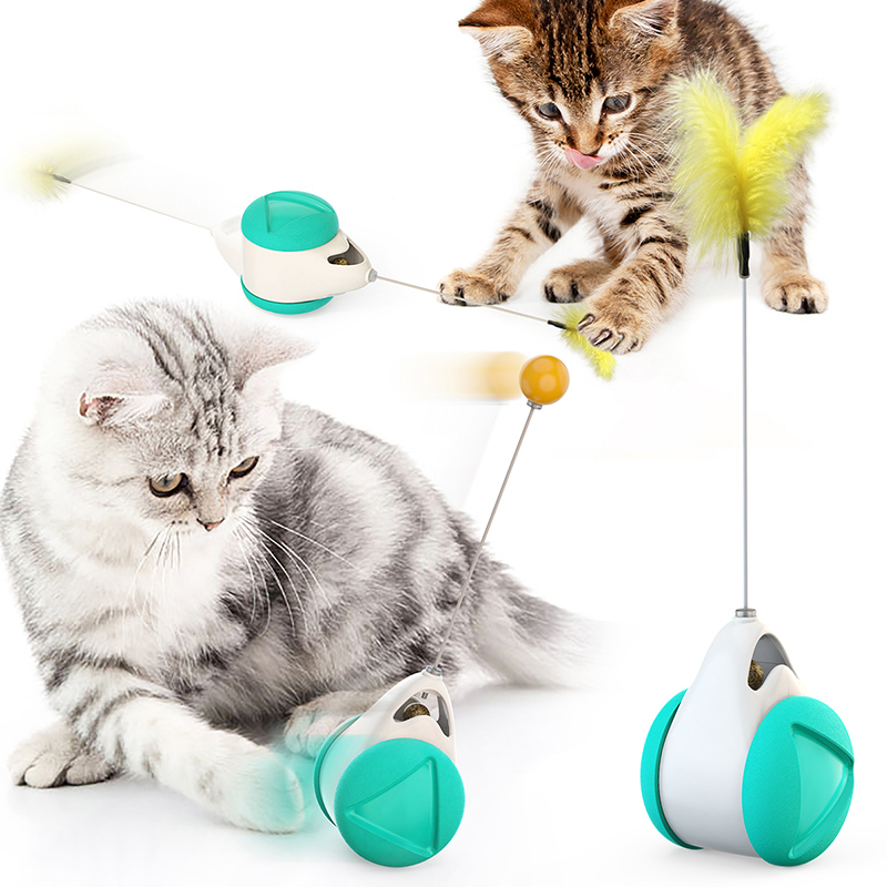 Interactive <a href='/cat-chasing-toy/'>Cat Chasing Toy</a>