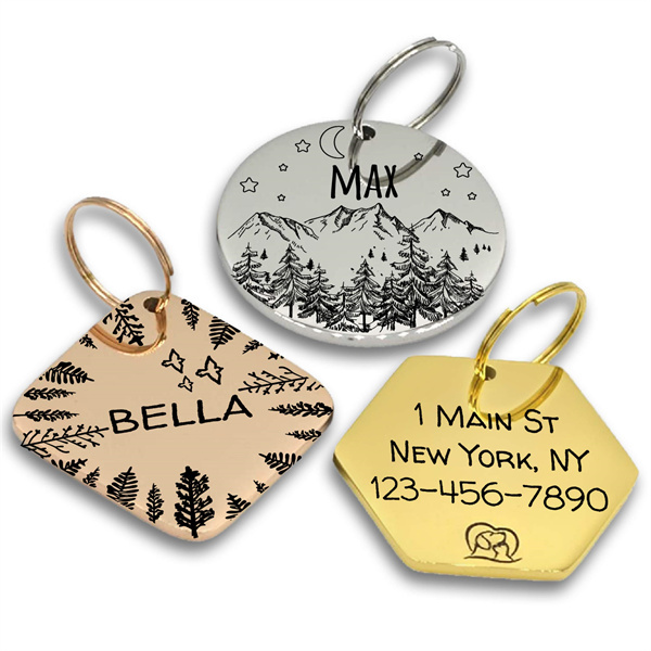 Customized Front & Back Pet Name Stainless Steel Dog Name Tags