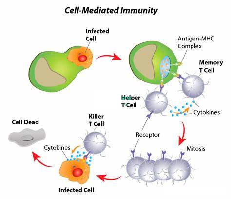 Comprehensive Interpretation of CAR T-Cell Therapy