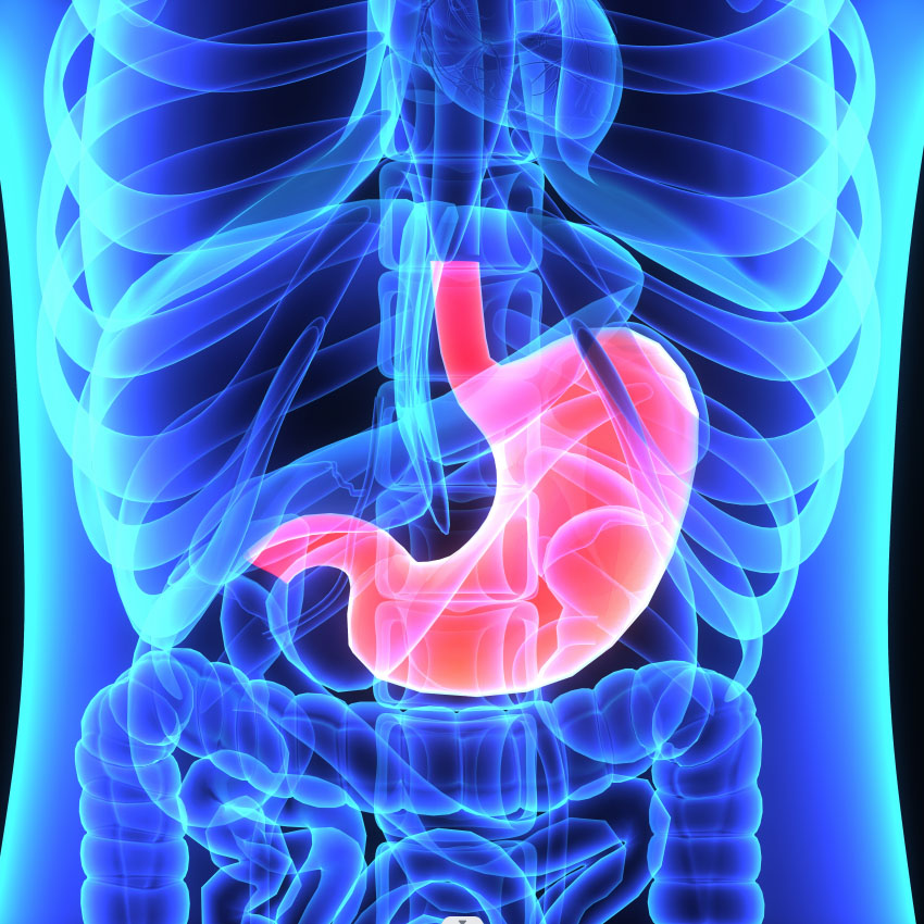 Digestive Tract <a href='/cancer/'>Cancer</a>