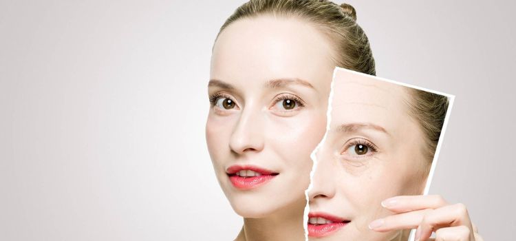 Trans-Ferulic Acid-Application (2)