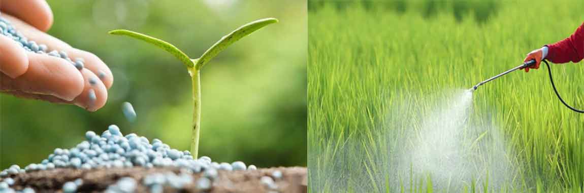 disodium-octaborate-tetrahydrate-application