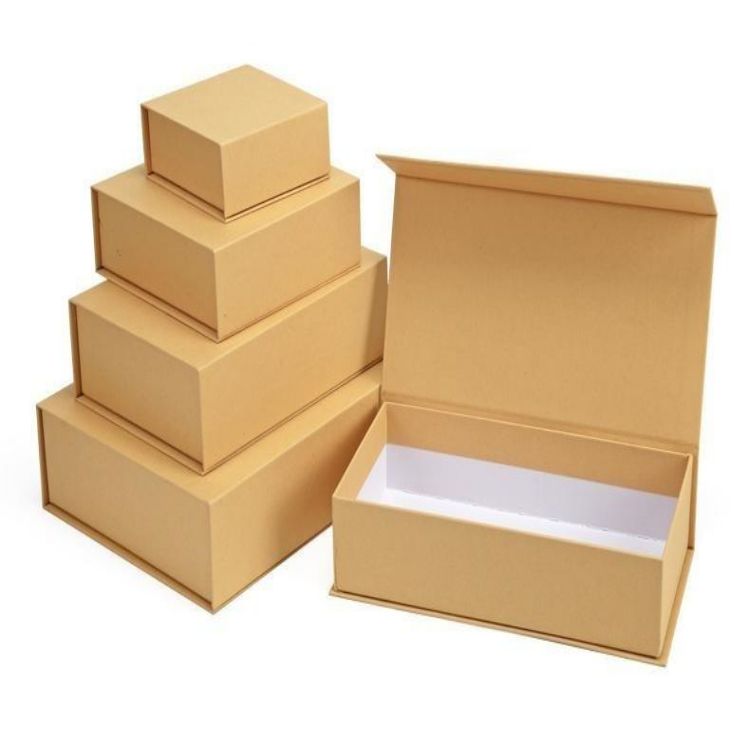 Magnetic Lid Closed Book Shape Paper Packing Box