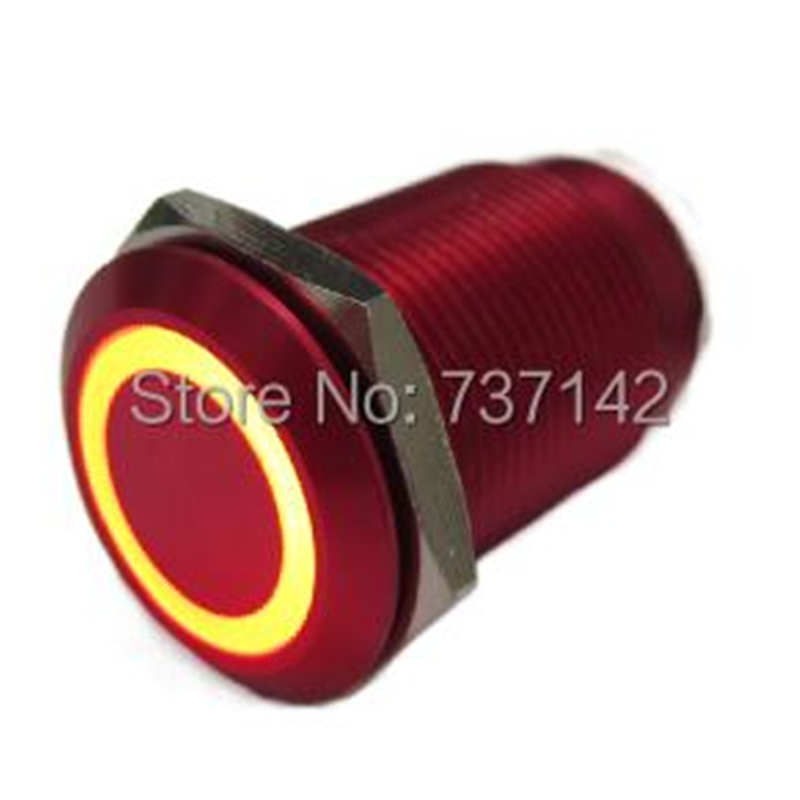 ELEWIND 19MM Anti vandal SPDT Button switch with light push button swith metal red aluminium (PM193F-11ZE/R/12V/A red aluminium)