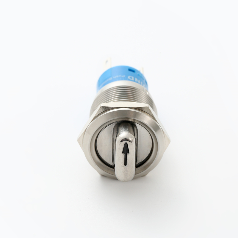 ELEWIND 22mm stainless steel <a href='/2-position-maintain/'>2 position maintain</a> ip65 waterproof selector switch with led (PM222F-11X/21/R/12V/S/IP65)