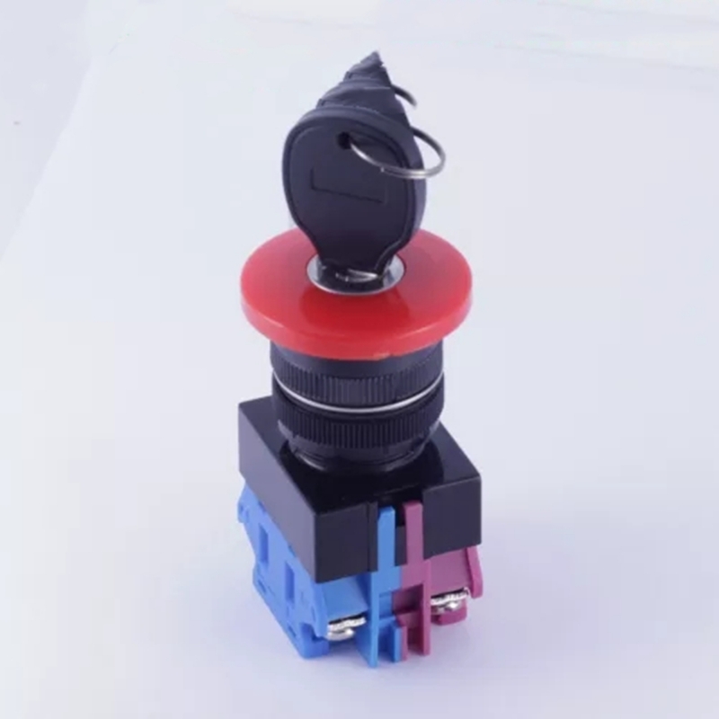 ELEWIND 22mm Screw terminal <a href='/1no1nc/'>1NO1NC</a> 2 Postition maintain  KEY Lock mushroom switch  BLACK  Cap color ( PB222-11YM/21 )