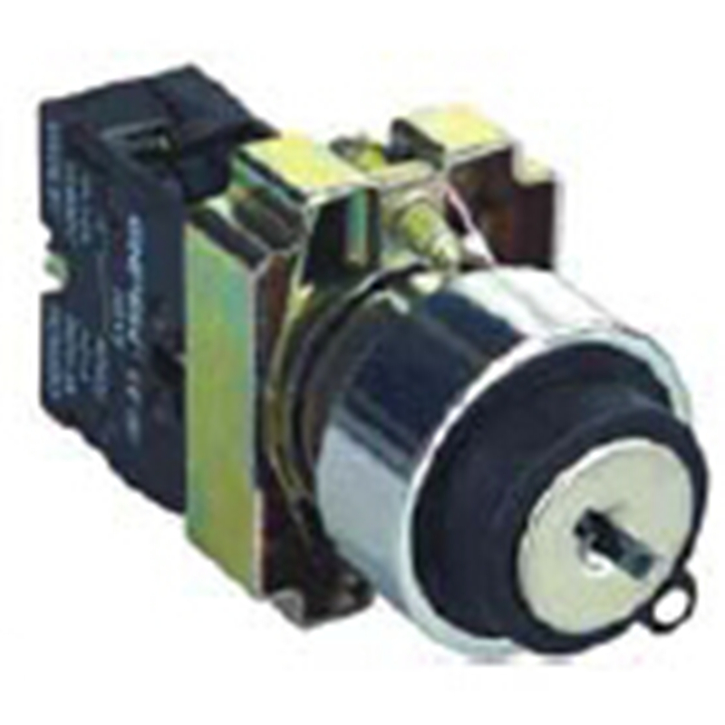 ELEWIND 22mm 1NO Screw terminal two position maintain key lock switch 10A/250V same as XB2 series ( PB225-10Y-21 )