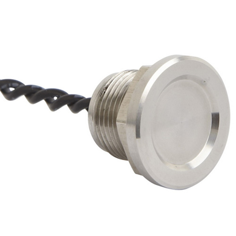 ELEWIND 12mm 316L Stainless steel piezo switch 10NO push button switch (PS122Z10YSS1,Rohs,CE)