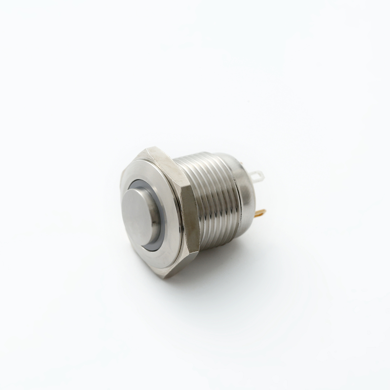 ELEWIND illuminated metal stainless steel push button Momentary type 1NO (PM161H-10E/J/R/12V/S)
