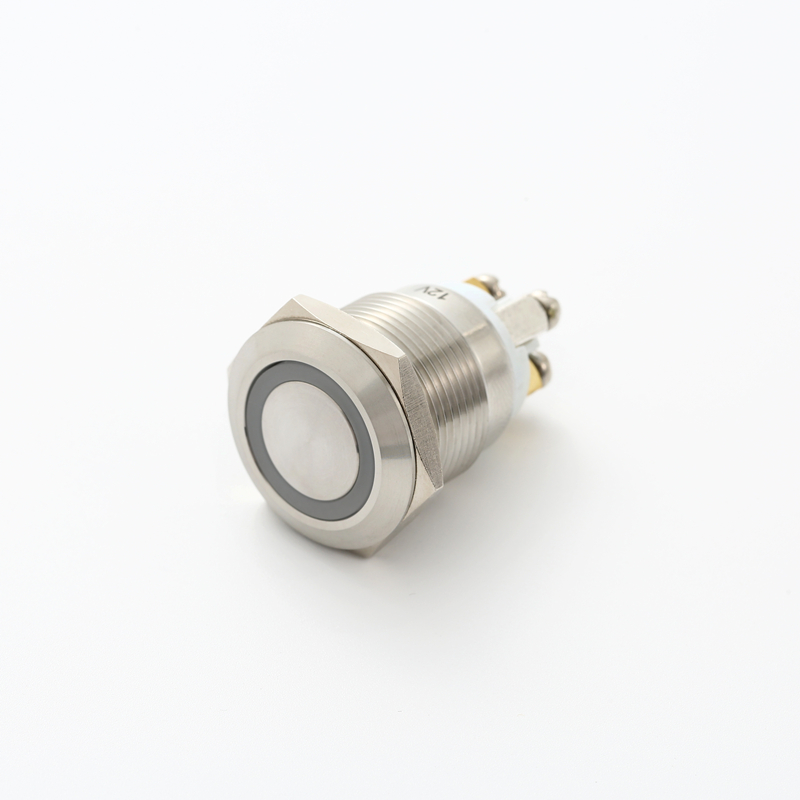 ELEWIND 19mm ring illuminated led light push button switch 1NO momentary Stainless steel metal (PM191F-10E/R/12V/S)