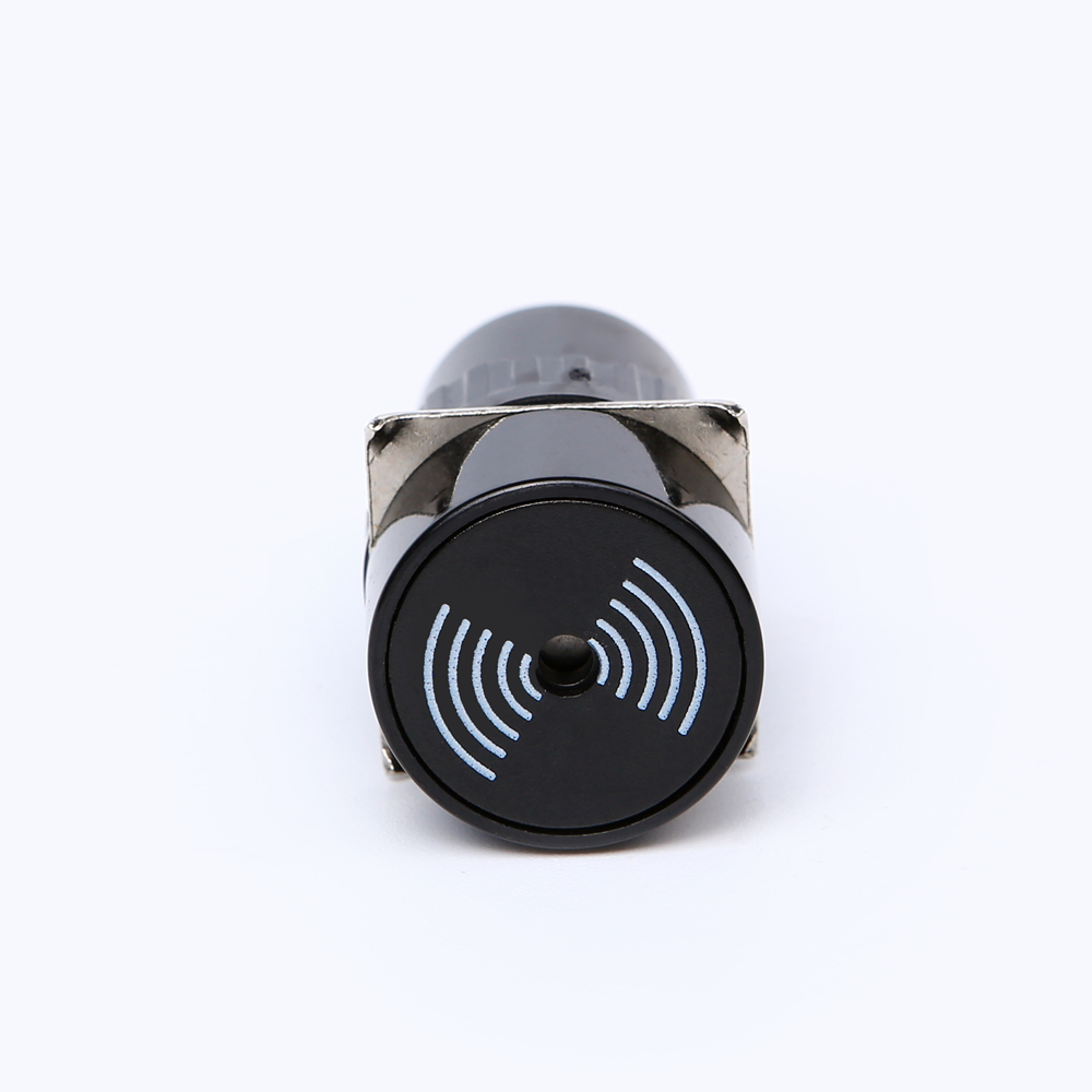 16mm plastic <a href='/continuous-sound-buzzer/'>continuous sound buzzer</a> buzz 6V 12V 24V 220V PB162Y-B
