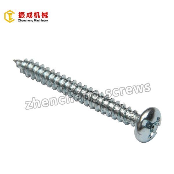 Self Tapping Screw 7