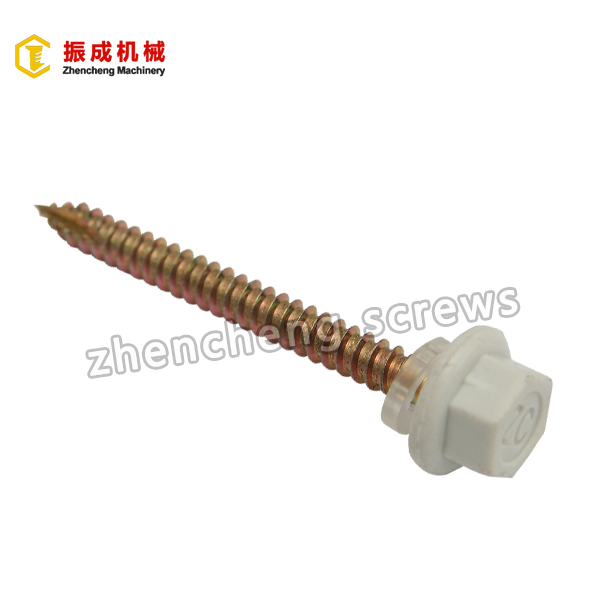 Nylon Hex Washer Head Screw2