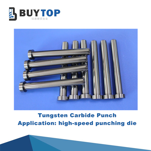 Carbide needle & punch (1)