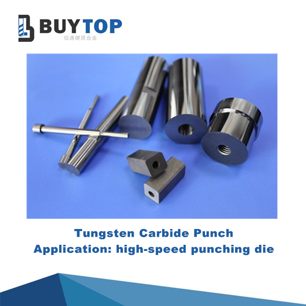 Carbide needle & punch (2)